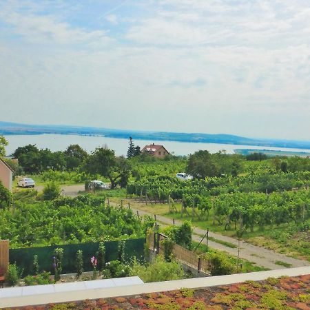 Rezidence Palava Apartment Павлов Екстериор снимка